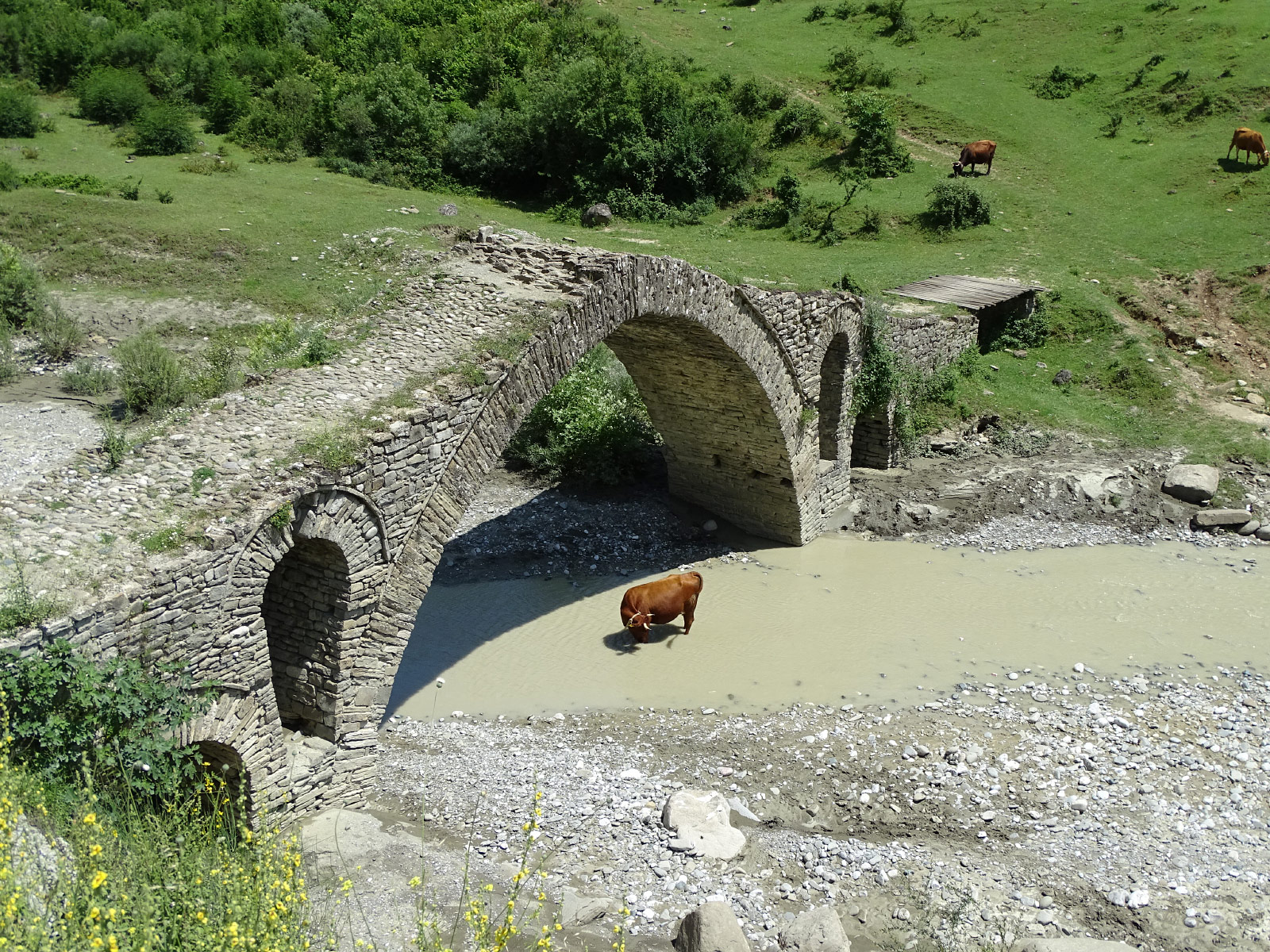 Ottoman Bridge, Çorovodë (Photo license: CC BY 2.0)